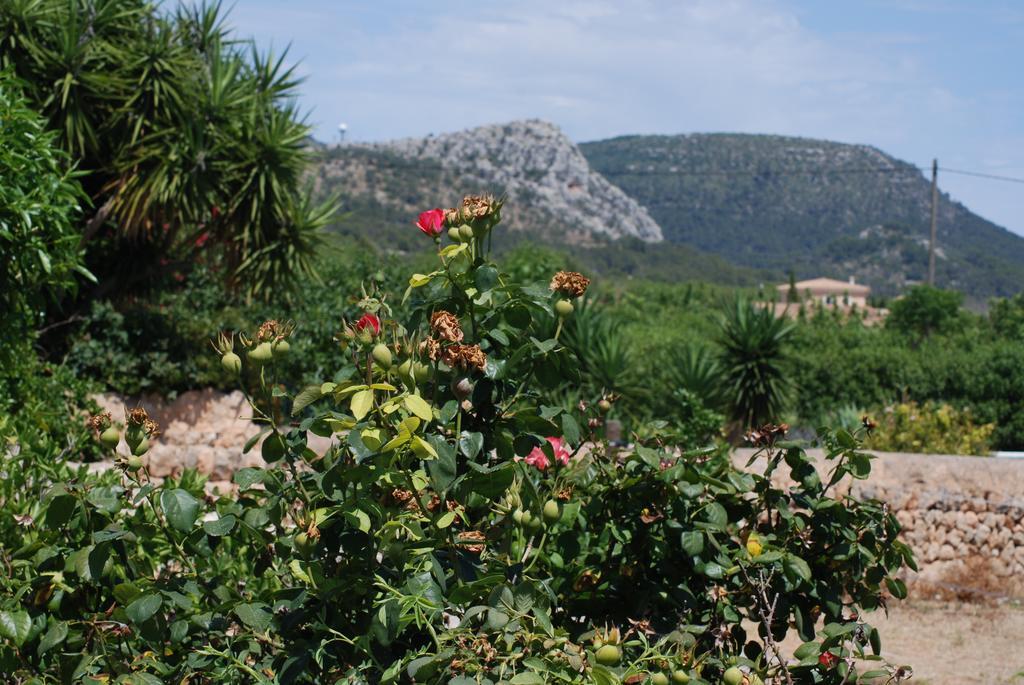 Finca Can Paulino (Adults Only) Llucmajor  Oda fotoğraf