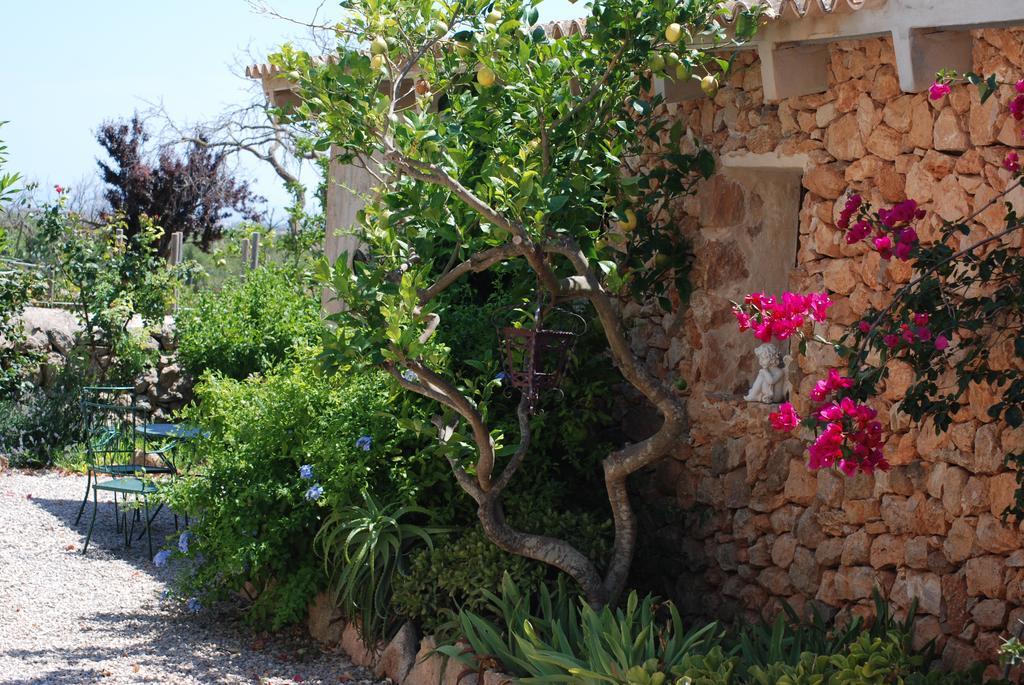 Finca Can Paulino (Adults Only) Llucmajor  Oda fotoğraf