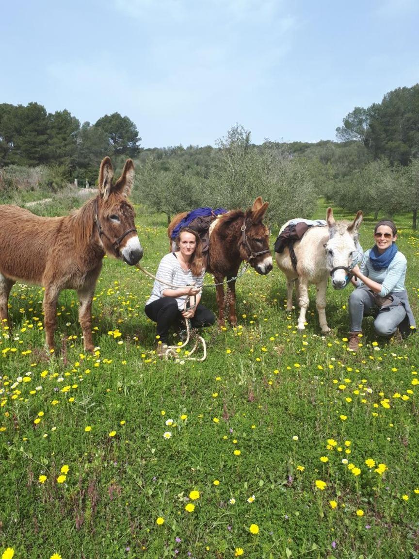 Finca Can Paulino (Adults Only) Llucmajor  Dış mekan fotoğraf