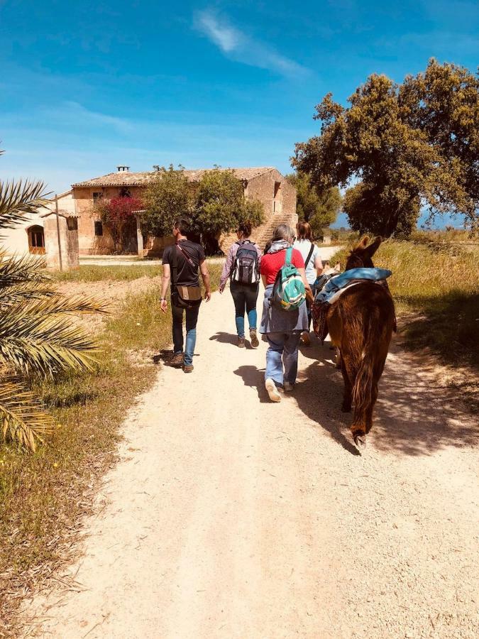 Finca Can Paulino (Adults Only) Llucmajor  Dış mekan fotoğraf