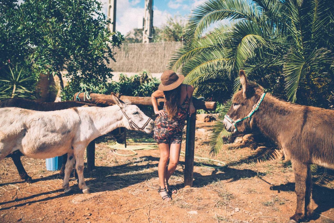 Finca Can Paulino (Adults Only) Llucmajor  Dış mekan fotoğraf